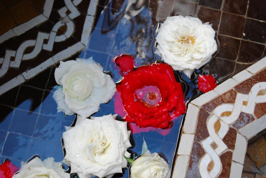 فندق رياض فيفا مراكش المظهر الخارجي الصورة Roses at the fountain